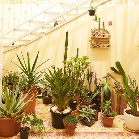 Provicario Bed & Breakfast