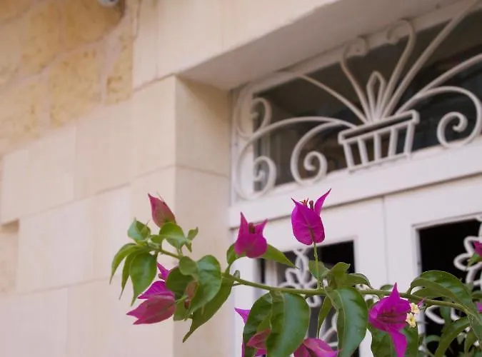 Provicario Виктория