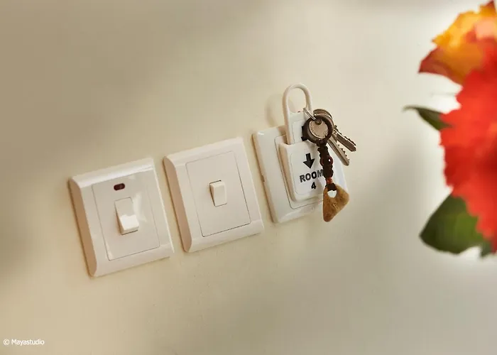 Oda ve Kahvaltı Provicario 4*